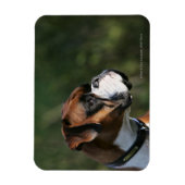 Boxer Dog Side Profile Magneet (Verticaal)