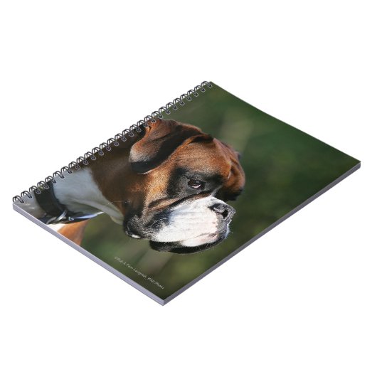 Boxer Dog Side Profile Notitieboek (Linkerzijde)