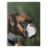 Boxer Dog Side Profile Notitieboek (Voorkant)