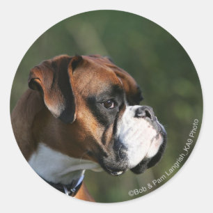 Boxer Dog Side Profile Ronde Sticker