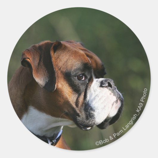 Boxer Dog Side Profile Ronde Sticker (Voorkant)
