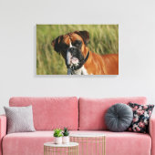 Boxer Dog Staring bij camera Canvas Afdruk (Insitu (Woonkamer))