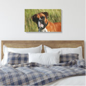 Boxer Dog Staring bij camera Canvas Afdruk (Insitu (Slaapkamer))