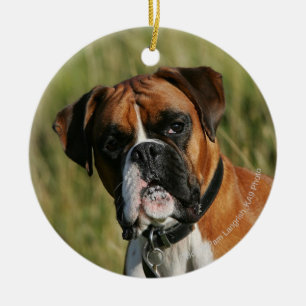 Boxer Dog Staring bij camera Keramisch Ornament