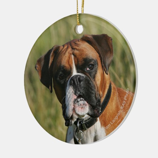 Boxer Dog Staring bij camera Keramisch Ornament (Links)