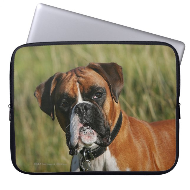 Boxer Dog Staring bij camera Laptop Sleeve (Voorkant)