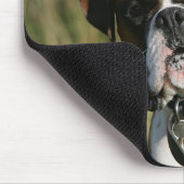 Boxer Dog Staring bij camera Muismat (Hoek)