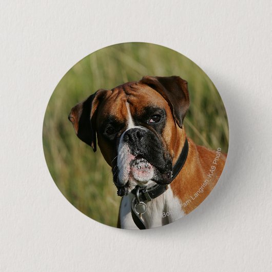 Boxer Dog Staring bij camera Ronde Button 5,7 Cm (Voorkant)