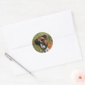 Boxer Dog Staring bij camera Ronde Sticker (Envelop)