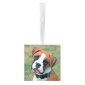 Boxer Dog Two Photo Kerstfeestdag Decoratie (Rechts)