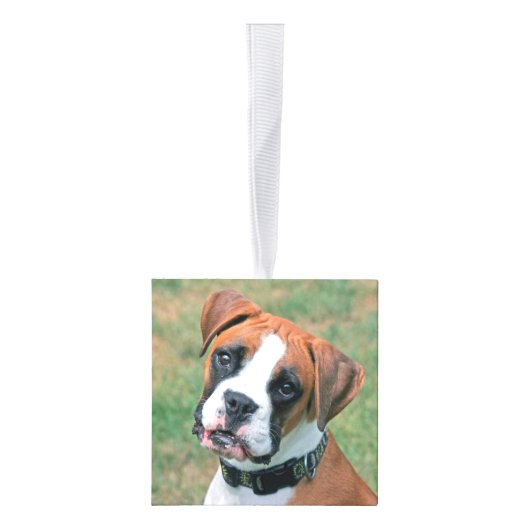 Boxer Dog Two Photo Kerstfeestdag Decoratie (Rechts)