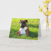 Boxer Dog Wenskaart Kaart (Gele Bloem)