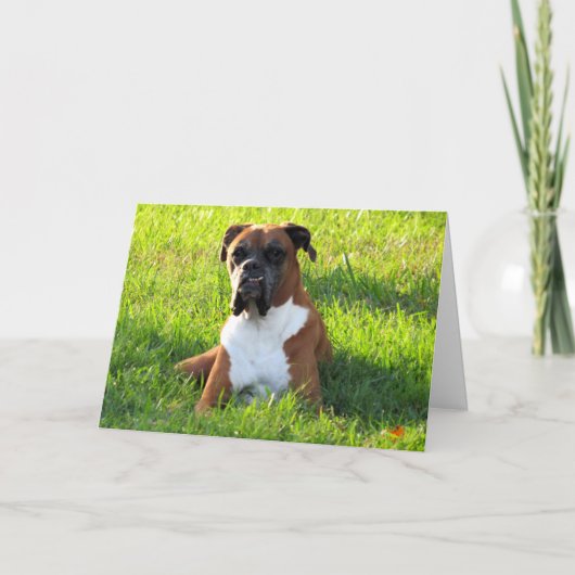 Boxer Dog Wenskaart Kaart (Voorkant)