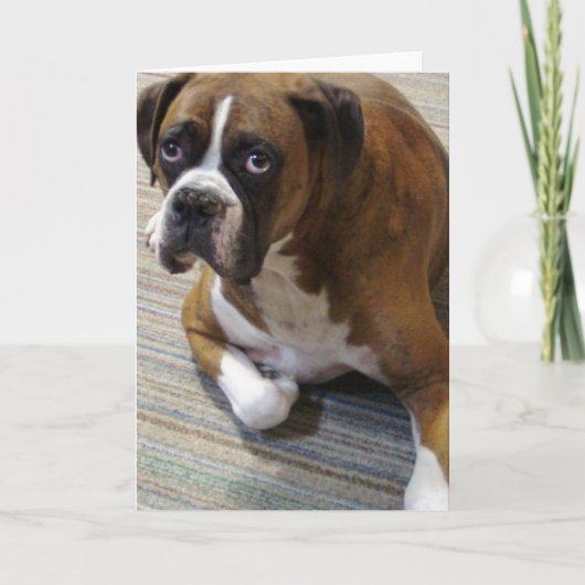 Boxer Dog Wenskaart Kaart (Voorkant)