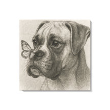 Boxer Dog with Butterfly Gentle Encounter