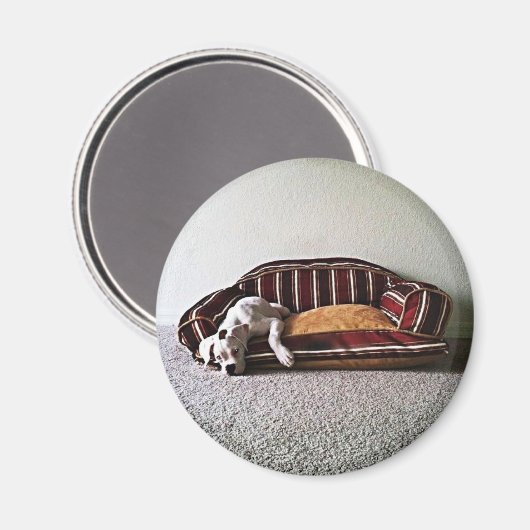 Boxer Doggie Magneet (Voorkant / Achterkant)