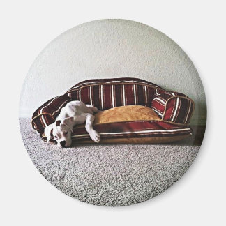 Boxer Doggie Magneet