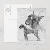 Boxer Dogs Briefkaart (Voorkant / Achterkant)