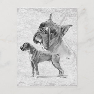 Boxer Dogs Briefkaart