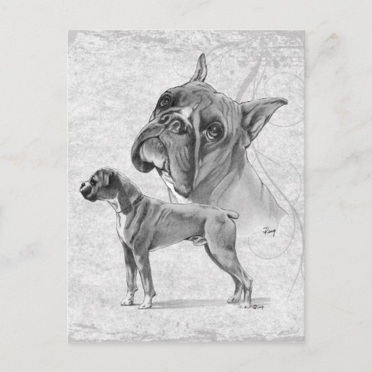 Boxer Dogs Briefkaart (Voorkant)