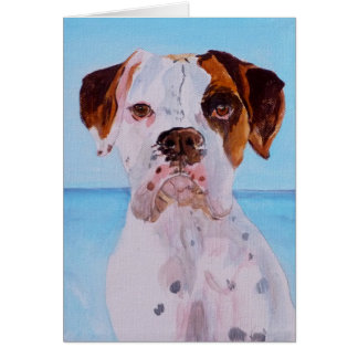 Boxer door het Zee