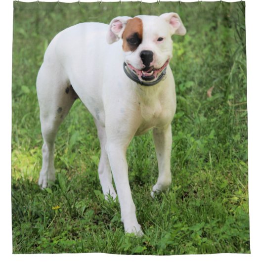 Boxer Douchegordijn (Voorkant)