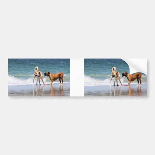 Boxer en Pal - Was dat een dolfijn? Bumpersticker (Voorkant)