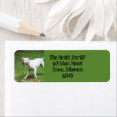 Boxer Etiket (Insitu)