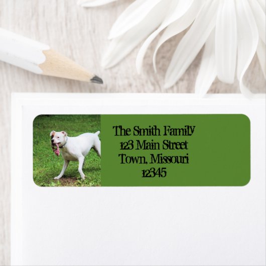 Boxer Etiket (Insitu)