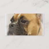 Boxer Face Visitekaartje (Achterkant)