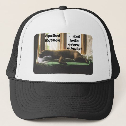 Boxer: Gesmolten rotten Trucker Pet (Voorkant)