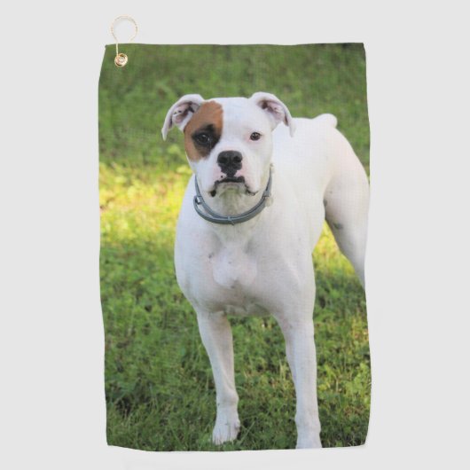 Boxer Golfhanddoek (Voorkant)