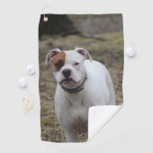 Boxer Golfhanddoek (Insitu)
