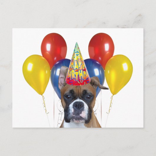 Boxer Happy Birthday Briefkaart (Voorkant)