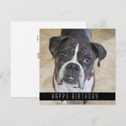 Boxer Happy Birthday uit Dog Birthday Card Aankondiging (Voorkant / Achterkant)