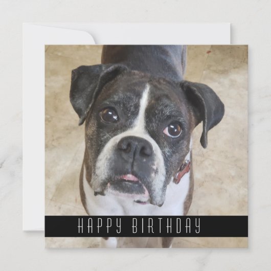 Boxer Happy Birthday uit Dog Birthday Card Aankondiging (Voorkant)