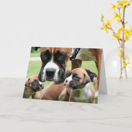 Boxer - Helikopter mam Kaart (Gele Bloem)