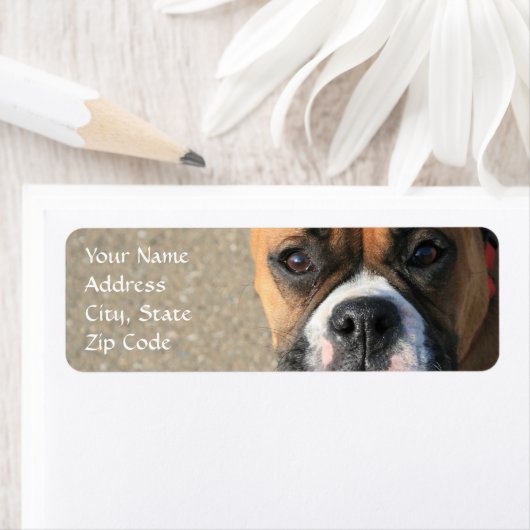 Boxer hond adresetiketten etiket (Insitu)