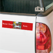 Boxer Hond Chef Bumpersticker (Op Truck)