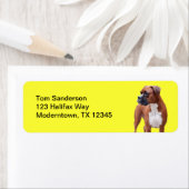 Boxer-hond Etiket (Insitu)