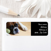 Boxer-hond Etiket (Insitu)