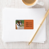 Boxer Hond Foto Adres Label (Insitu)