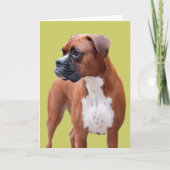 Boxer-hond Kaart (Voorkant)