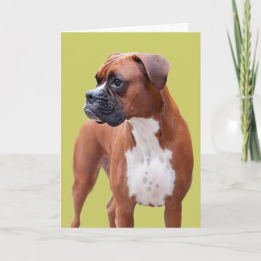 Boxer-hond Kaart (Voorkant)