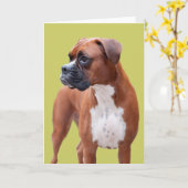 Boxer-hond Kaart (Gele Bloem)
