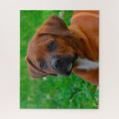 Boxer Hond Legpuzzel (Verticaal)