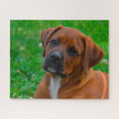 Boxer Hond Legpuzzel (Horizontaal)