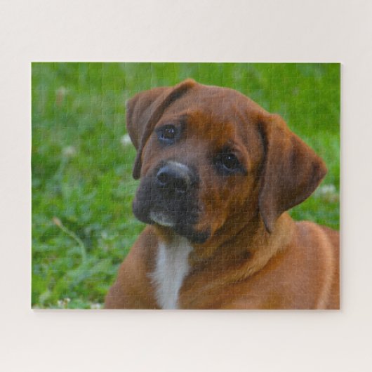 Boxer Hond Legpuzzel (Horizontaal)