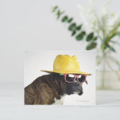 Boxer hond met pet en glazen briefkaart (Staand voorkant)