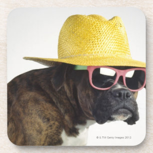 Boxer hond met pet en glazen drankjes onderzetter
